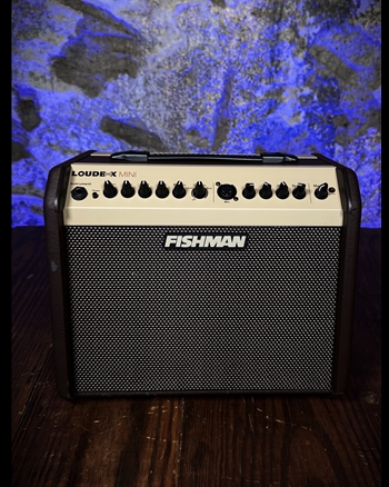Fishman Loudbox Mini - 60 Watt 1x6.5" Acoustic Guitar Combo *USED*