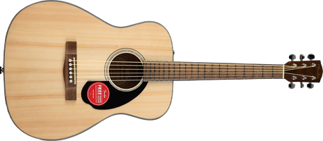 concert guitars