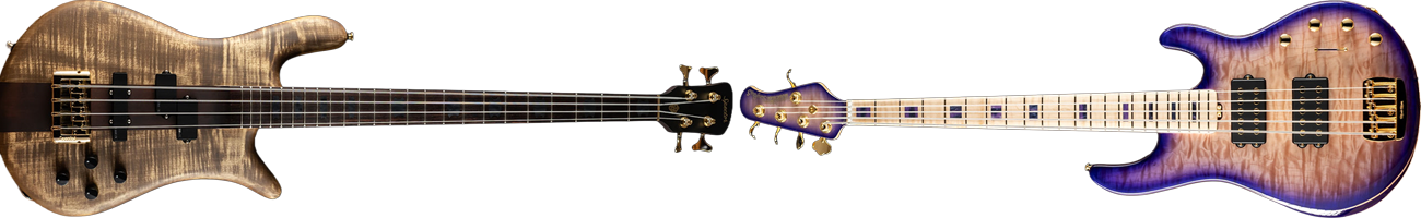 choosing your first bass guitar