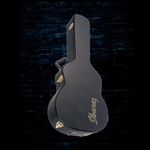 Ibanez AC100C Classical Guitar Hardshell Case