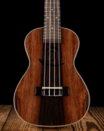 Amahi Snail Ebony Concert Ukulele - Natural