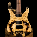 Suhr Modern Custom Buckeye Burl Maple - Natural