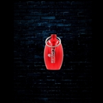 Earasers Waterproof Keychain Earplug Carrying Case - Red