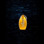 Earasers Waterproof Keychain Earplug Carrying Case - Gold