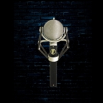 Blue Dragonfly Studio Condenser Microphone