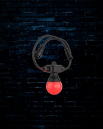 Chauvet DJ Festoon 2 RGB String Lighting System
