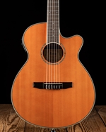Ibanez AEG10NII Nylon String - Tangerine *USED*