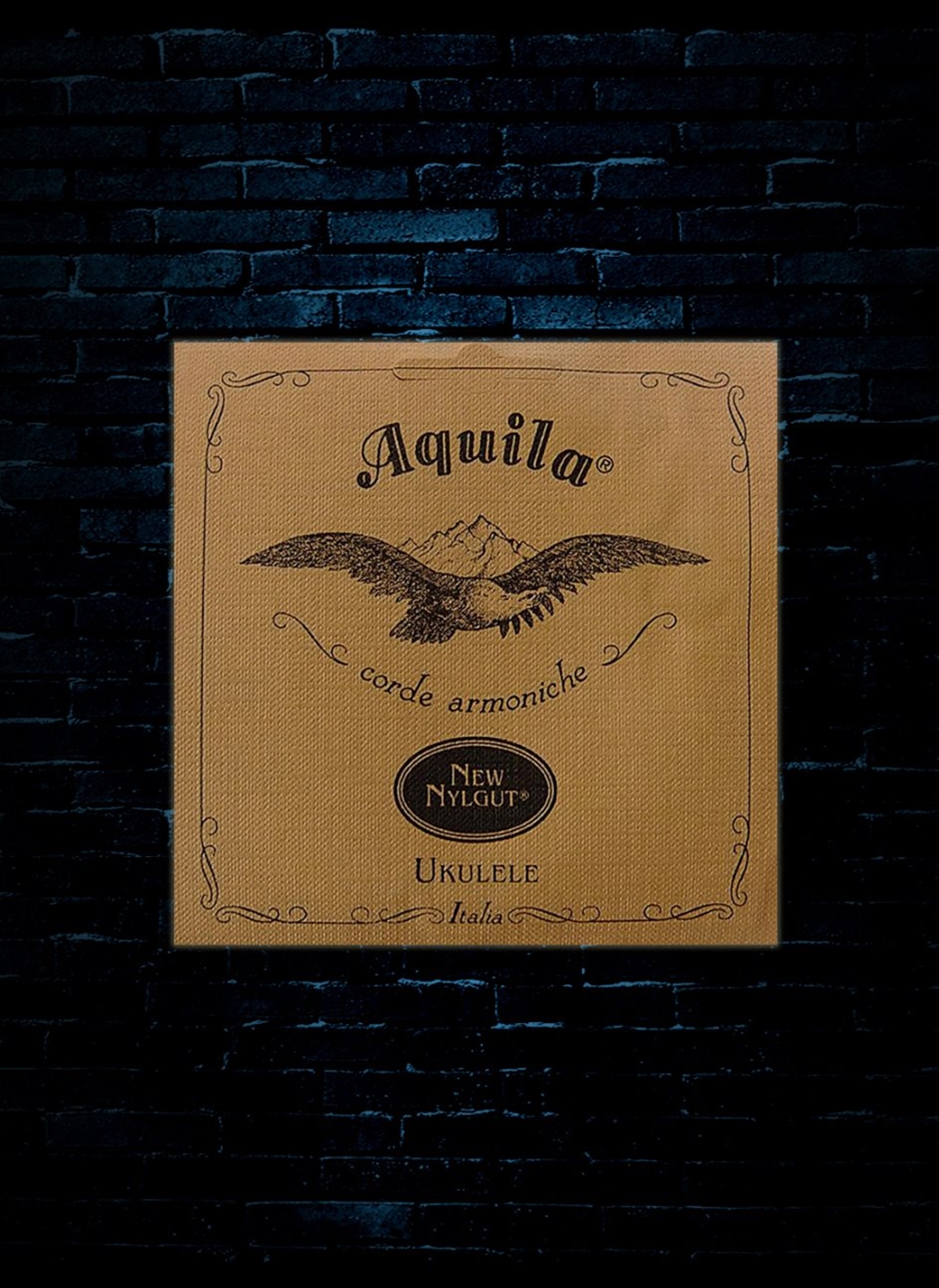Aquila 7u hotsell