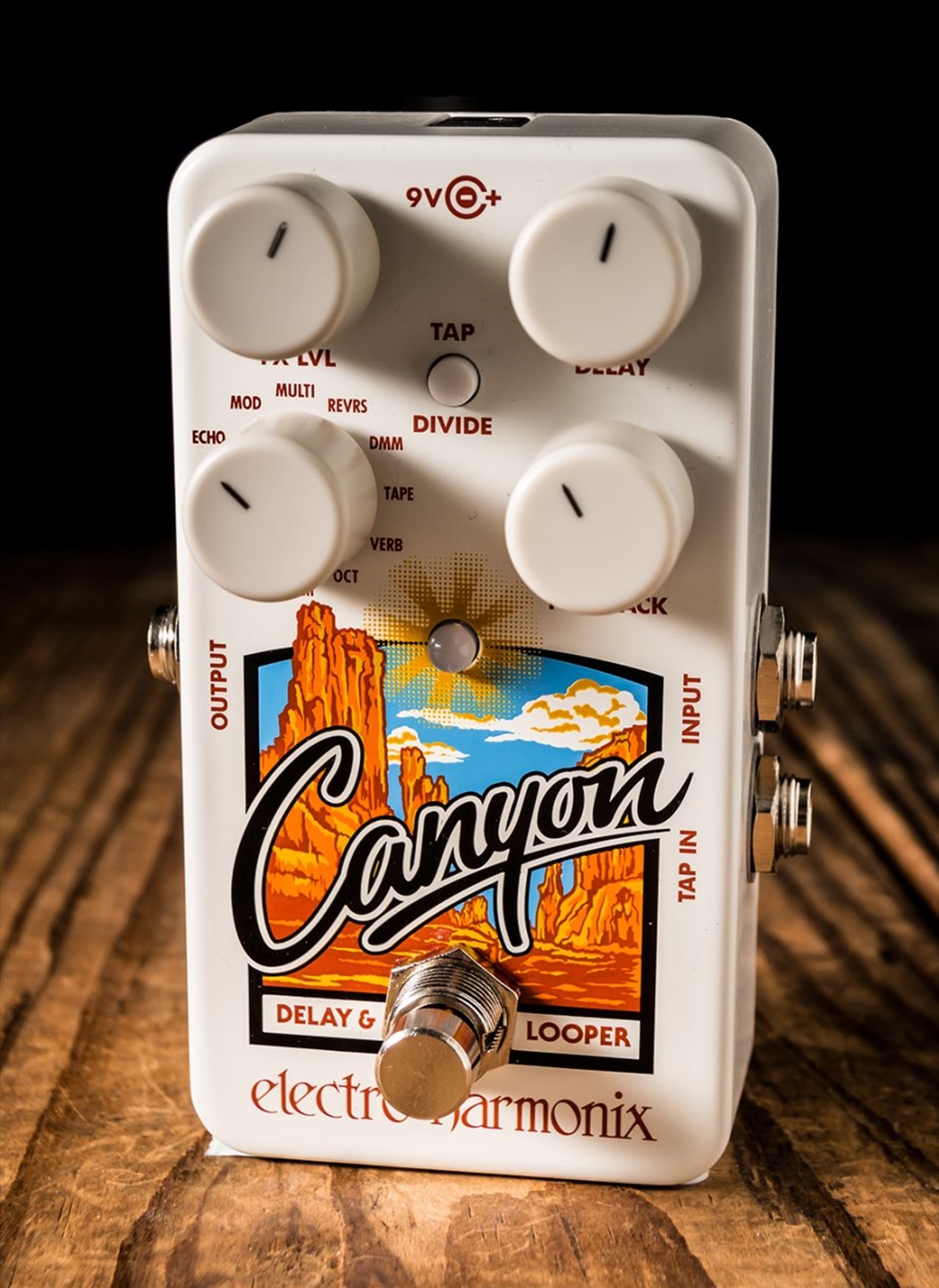 ギター Electro-Harmonix Canyon Delay Looper 71oIxL2OjbL._UF350,350_QL80_.jpg