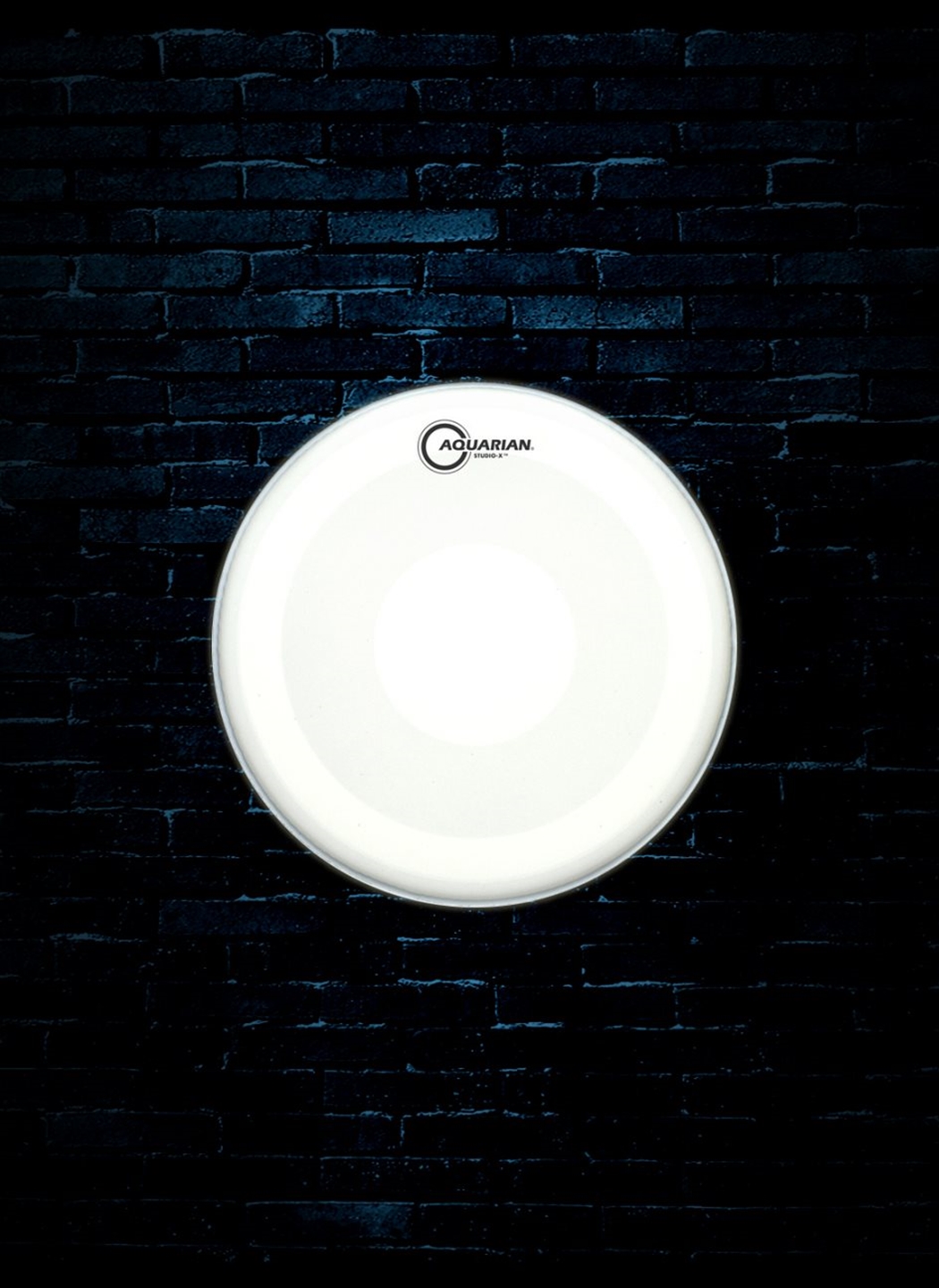 Aquarian TCSXPD14 14 Coated Studio X With Power Dot Drumhead