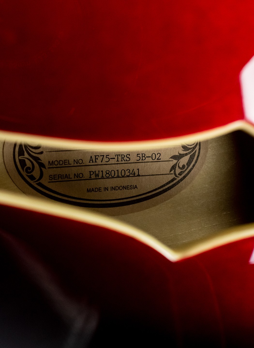 Ibanez AF75 Artcore - Transparent Red Sunburst