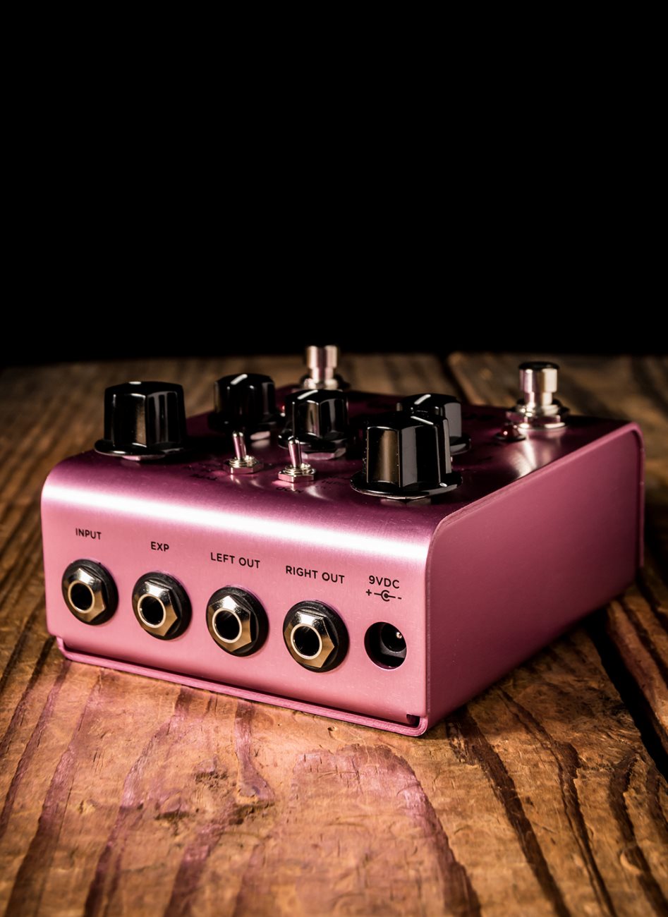Strymon DIG Dual Digital Delay Pedal