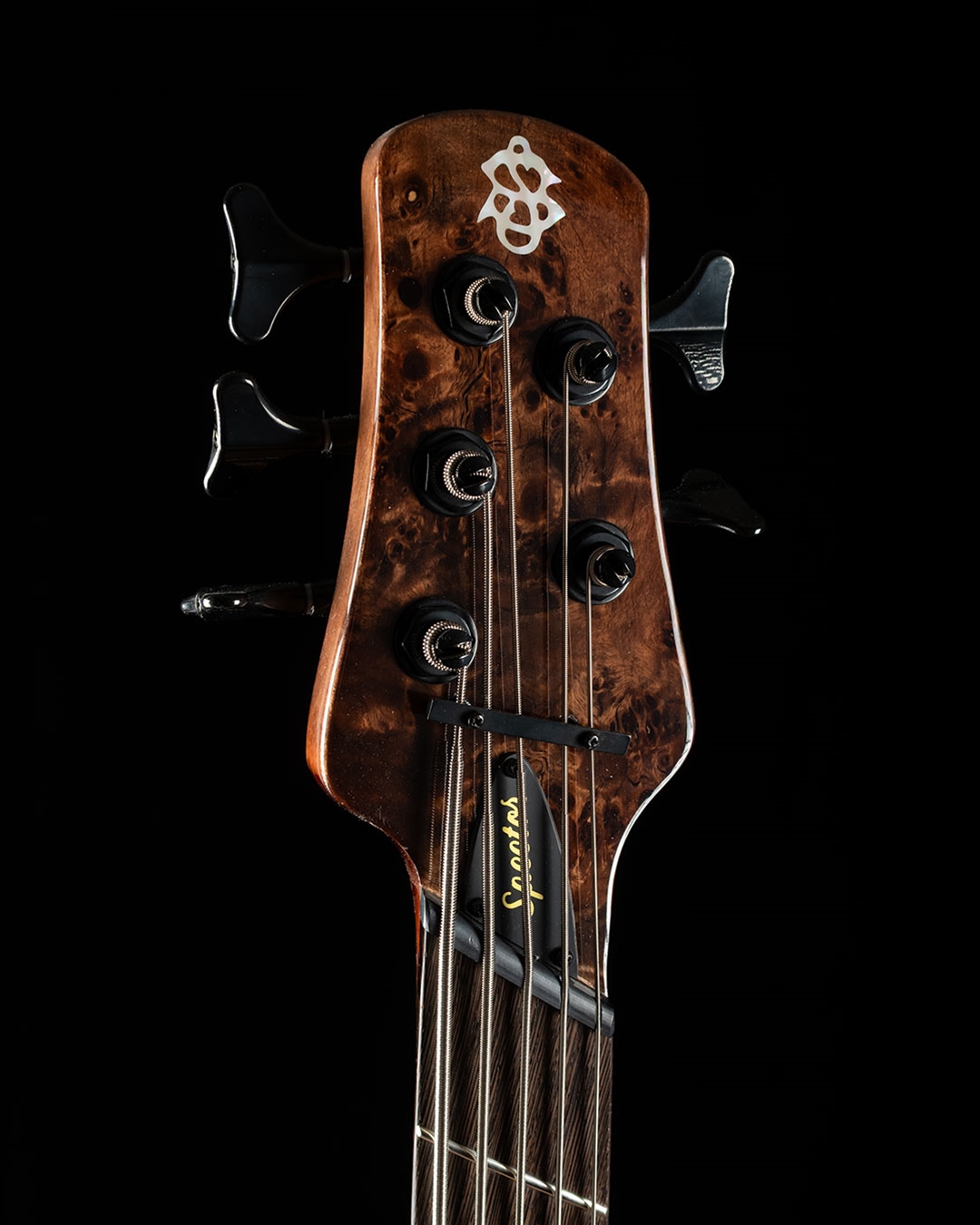 ベース Spector NS dimension-5 NS Dimension 5 - Spector Bass