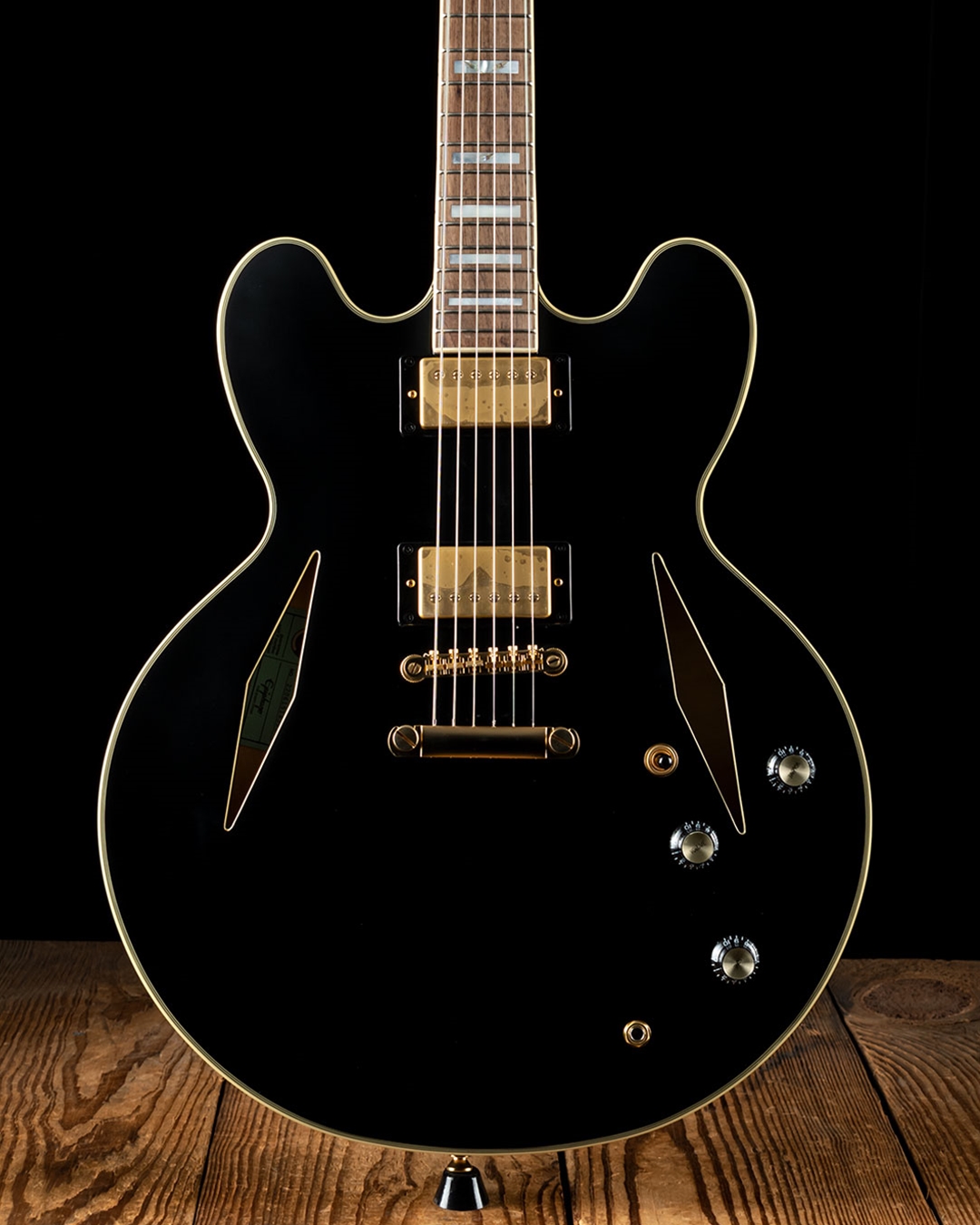 Epiphone Emily Wolfe Sheraton エミリー・ウォルフ Epiphone Emily Wolfe Sheraton Stealth ｜イケベ楽器店