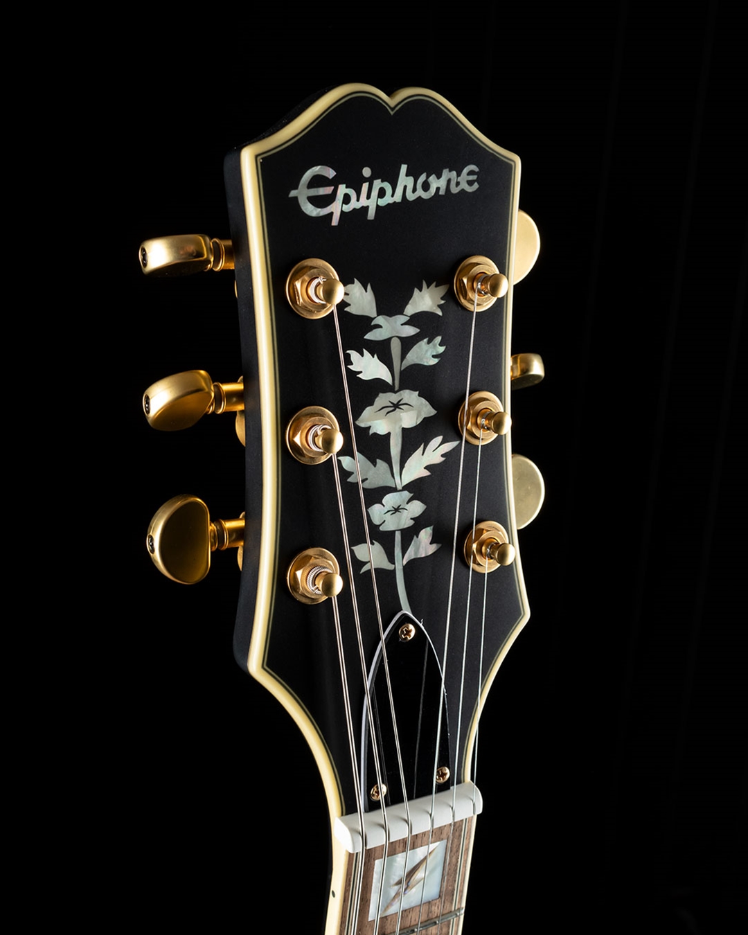 a*a様 Epiphone Emily Wolfe Sheraton Steal Amazon.com: Epiphone Emily Wolfe Sheraton Stealth Black Aged