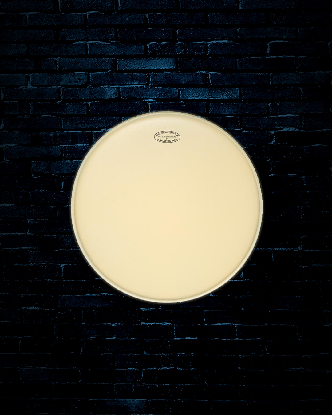 Aquarian american vintage shop drum heads