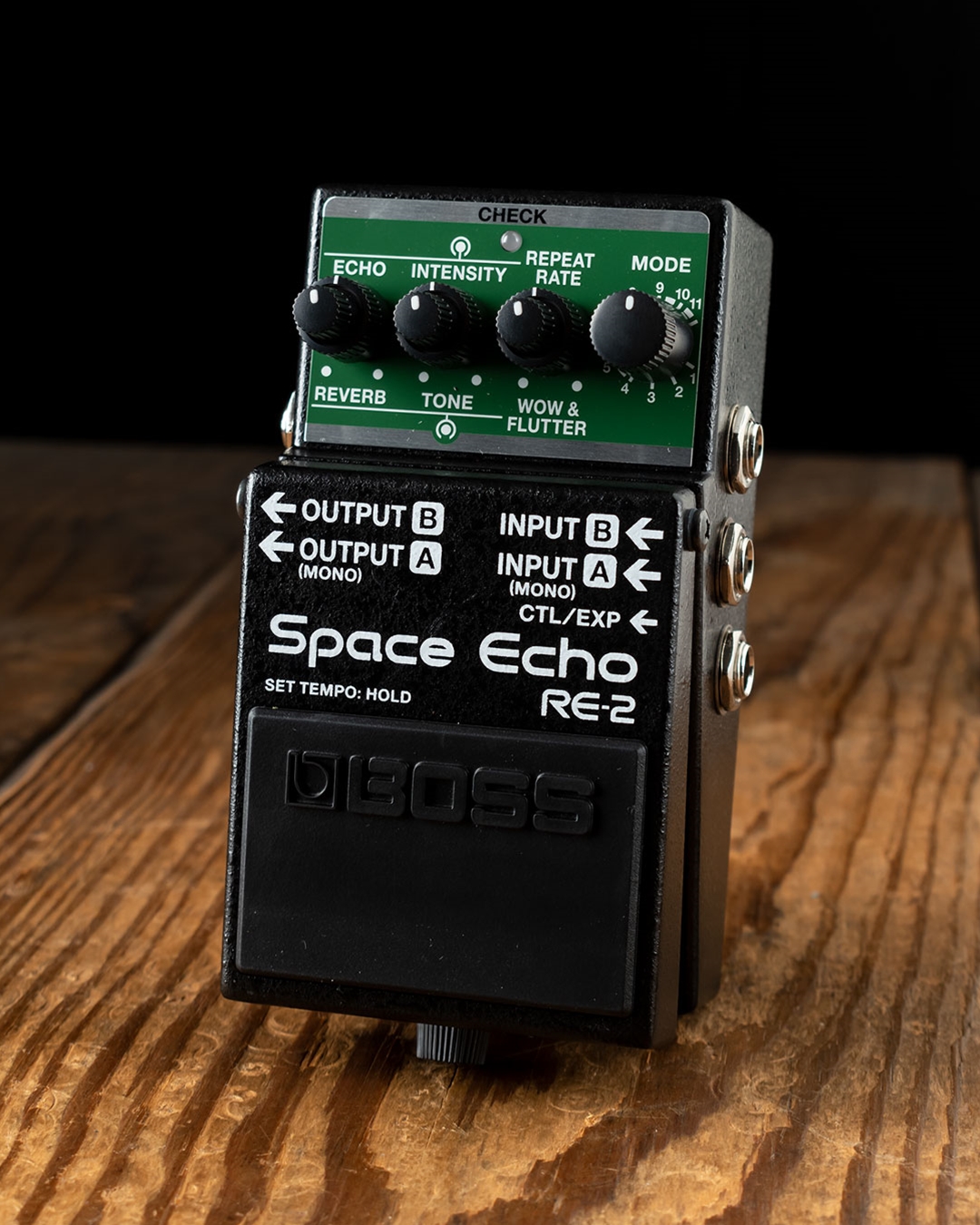 BOSS RE-2 Space Echo Delay/Reverb Pedal