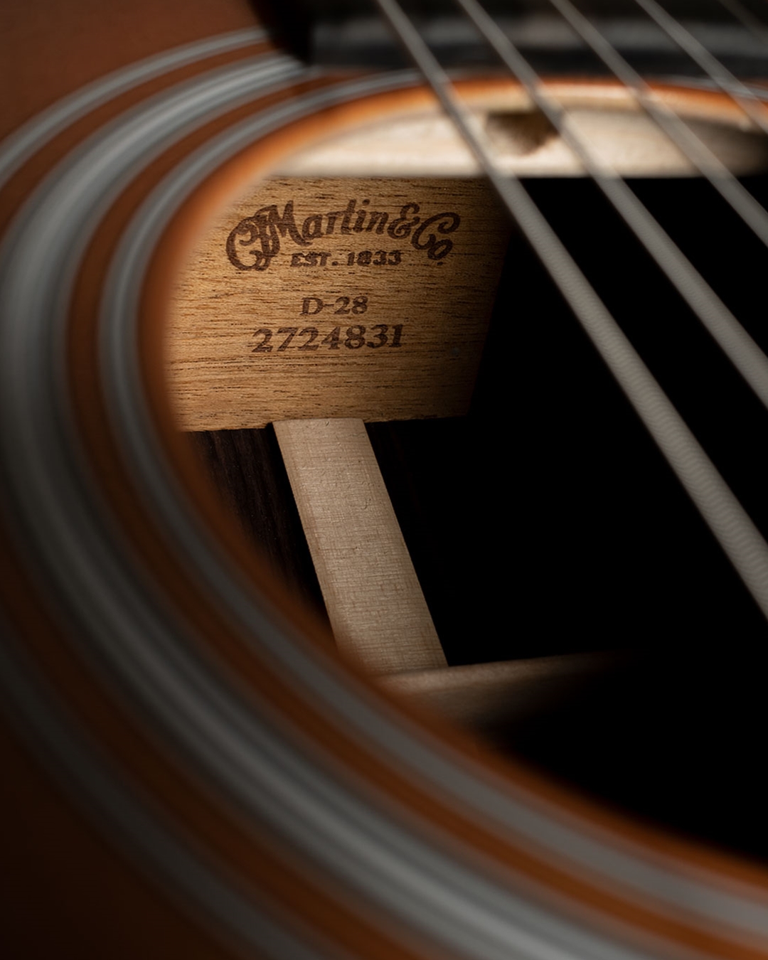 Martin D-28 NAMM 2023 Show Special - Digital Microburst