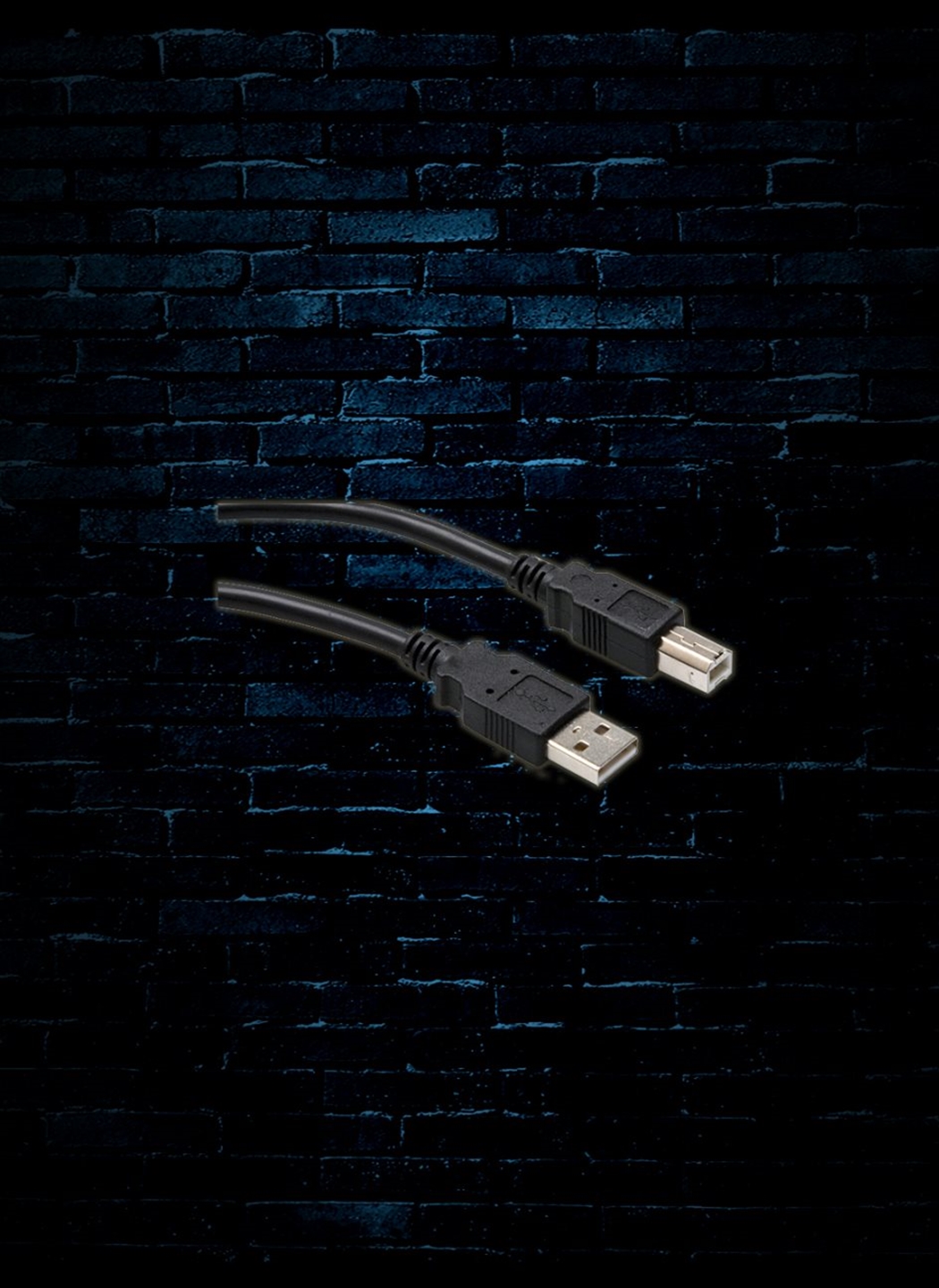 Hosa USB-210AB 10' Type A to Type B High Speed USB Cable