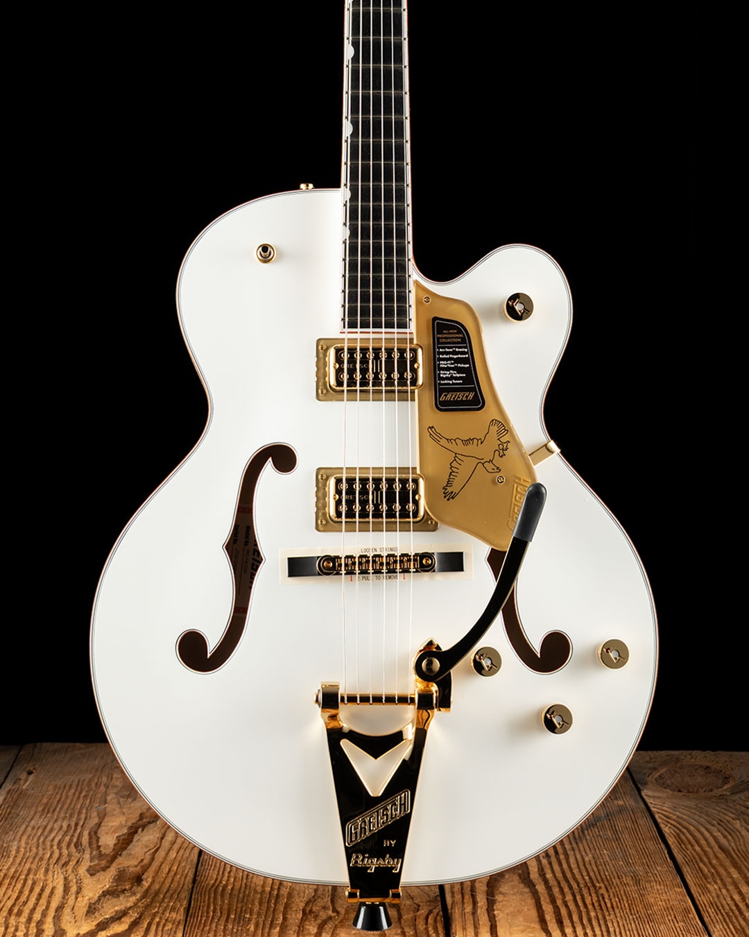 【Gretsch White Falcon 】エレアコギター ae00-66462.jpg
