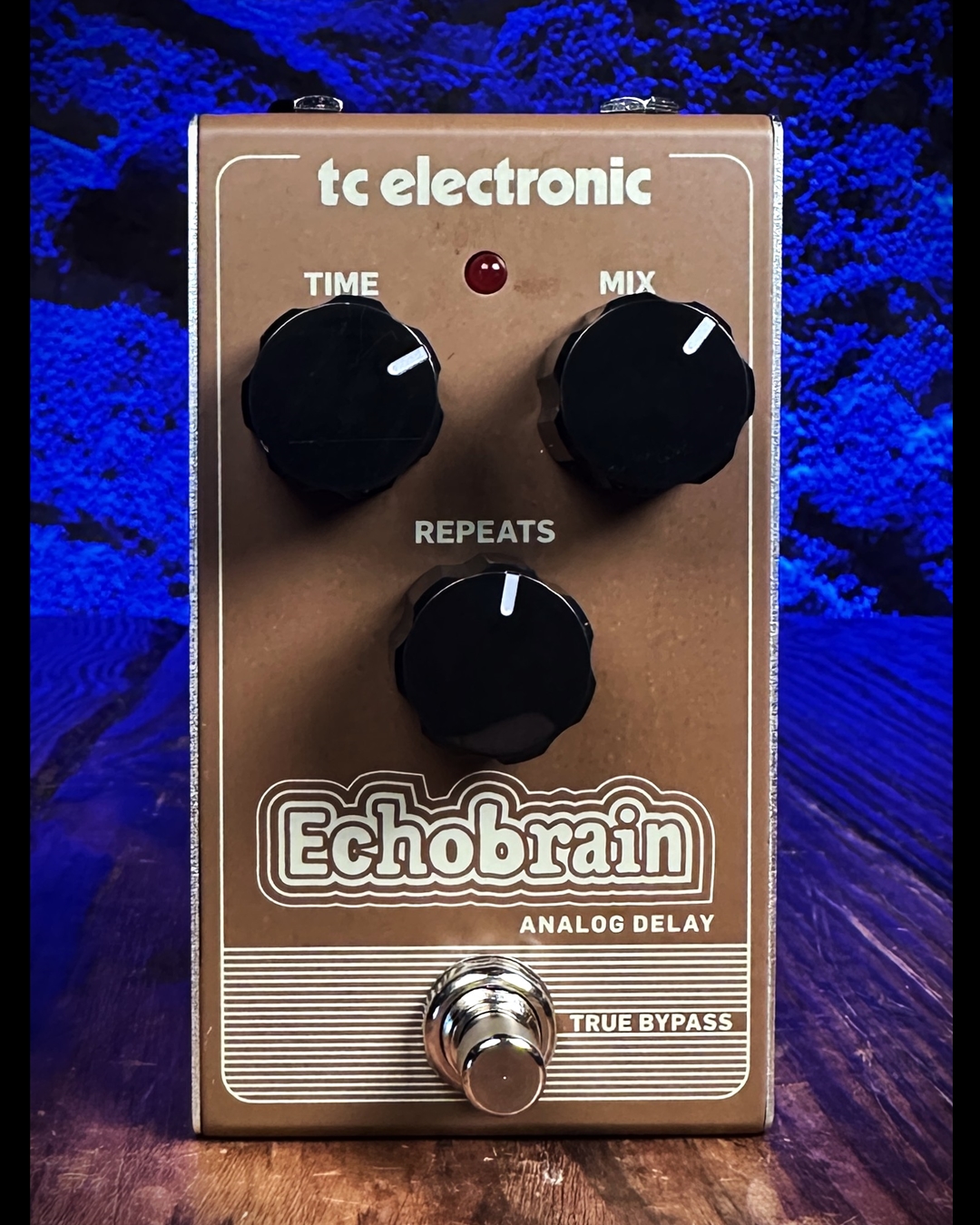 ★TC ELECTRONIC 　 ECHOBRAIN エフェクター TC Electronic Echobrain Analog Delay Effects Pedal | Guitar
