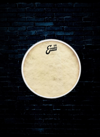 Evans TT12C7 - 12" Calftone Drumhead