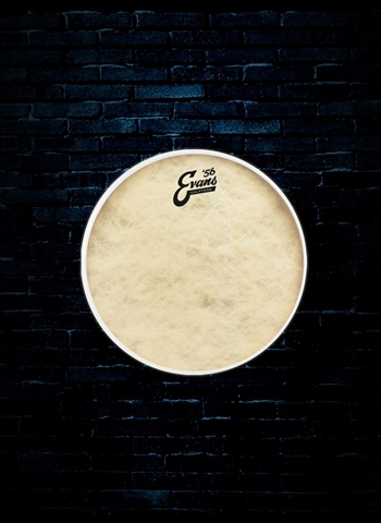 Evans TT13C7 - 13" Calftone Drumhead