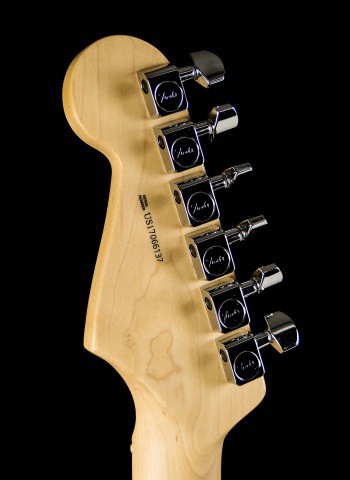 Fender American Professional Stratocaster - Natural