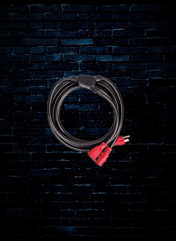 Planet Waves PW-IECPB-10 - 10' IEC to NEMA Plug Power Cable+