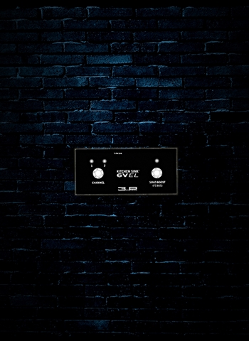 3rd Power 2 Button Pro Footswitch