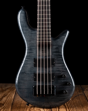 Spector Bantam5 - Black Stain