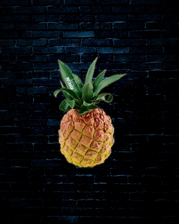 Nino Fruit & Vegetable Shaker - Pineapple