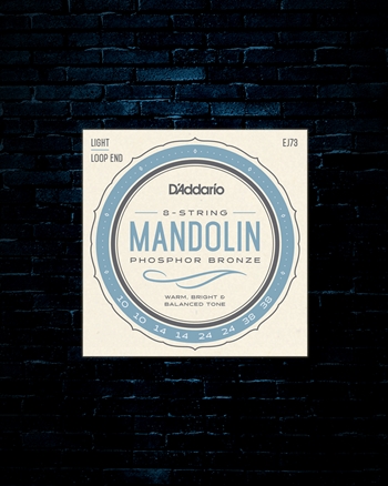 D'Addario EJ73 Phosphor Bronze Mandolin Strings - Light (10-38)