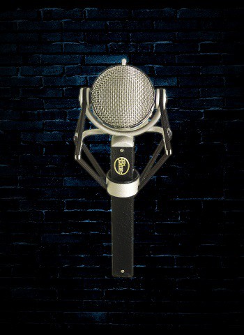 Blue Dragonfly Studio Condenser Microphone