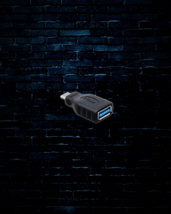 Hosa GSB-314 Type A to Type C USB Adapter