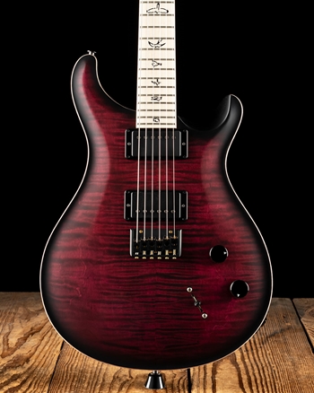 PRS Dustie Waring CE 24 Hardtail Limited Edition - Waring Burst