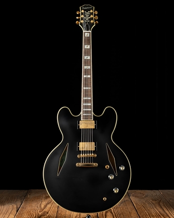 Epiphone Emily Wolfe Sheraton エミリー・ウォルフ Emily Wolfe 