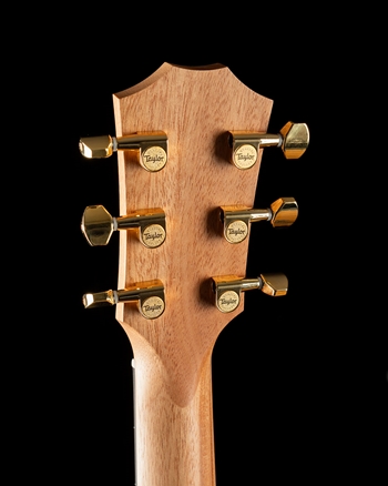 Taylor 50th Anniversary GS Mini-e Rosewood LTD - Natural