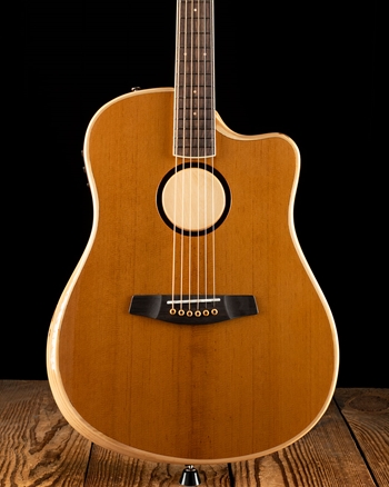 LR Baggs AEG-1 - Torrefied Sitka Spruce