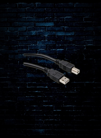 Hosa USB-210AB - 10' Type A to Type B High Speed USB Cable