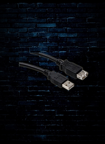 Hosa USB-210AF - 10' Type A to Type A High Speed USB Extension Cable