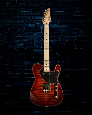 Suhr Andre Nieri Signature Classic T - Nieri Burst