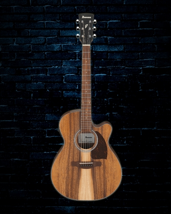 Ibanez PC50WSCE PF Series - Open Pore Brown
