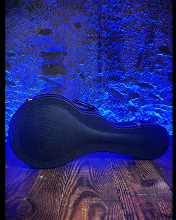 Misc F-Style Mandolin Case *USED*