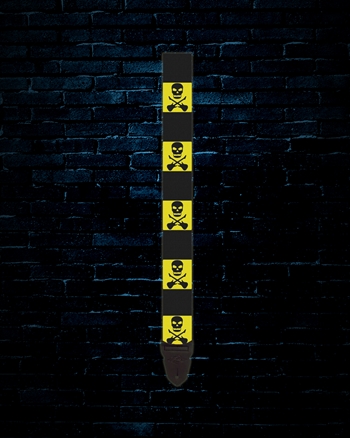 LM PS-4 2" Guitar Strap - Skull & Crossbones