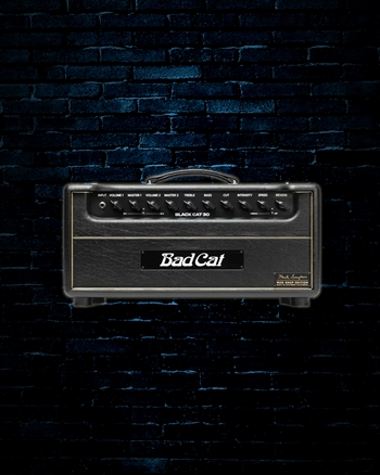 Bad Cat Mod Shop Mark Sampson Black Cat 30 Watt Guitar Head