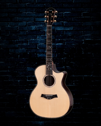 Taylor Legacy 914ce - Natural