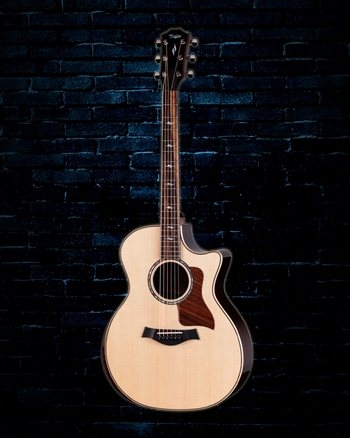 Taylor Next Generation 814ce - Natural