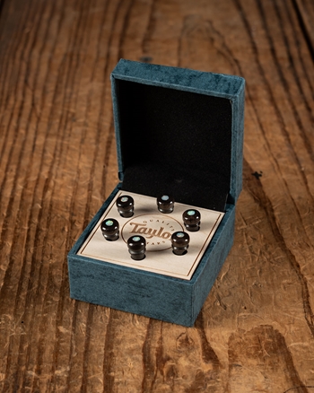 Taylor Custom Bone Bridge Pins - Brown with White Australian Opal