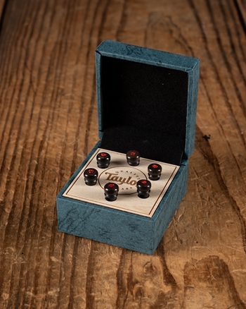 Taylor Custom Bone Bridge Pins - Brown with Australian Red Opal